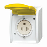 Busch-Jaeger Busch Nema Steckdose 20 Ampere gelb, Retail