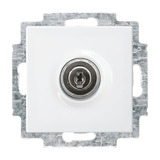 Busch-Jaeger Schutzkontakt Steckdosen Einsatz 20 EUKBSL-914 weiß, Retail