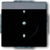 Busch-Jaeger Steckdosen Einsatz 20 EUN-885 schwarz, Retail