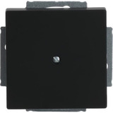 Busch-Jaeger Zentralscheibe mit Tragring, Blindabdeckung, matt, Kunststoff, Unterputz, 71x71 mm schwarz (matt), Retail