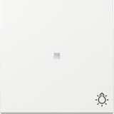 Gira Wippe Kontrollfenster und Symbol weiß, Retail