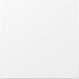 Gira Wippe einteilige Ausführung glänzend weiß, Retail