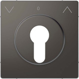 Merten Zentralplatte für genormte Profil-Halbzylinderschlösser mit 40 mm Länge lackiert anthrazit, Retail