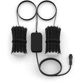 Philips Hue Hue White & Color Ambiance Festavia Lichterkette 40m 