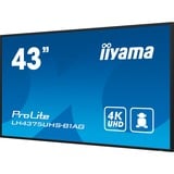 iiyama ProLite LE4341S-B2, Public Display schwarz (glänzend), FullHD, IPS, Mediaplayer