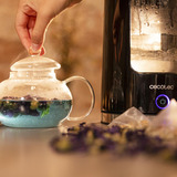 Cecotec Thermosense 330 Glassy, Wasserkocher schwarz, 2.200 Watt, 1,7 Liter