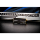 Crucial P310 2 TB, SSD schwarz, PCIe 4.0 x4, NVMe, M.2 2280