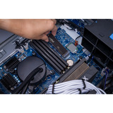 Crucial P310 2 TB, SSD schwarz, PCIe 4.0 x4, NVMe, M.2 2280
