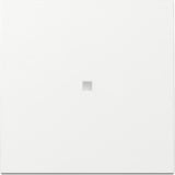 Gira Wippe mit Kontrollfenster weiß, Retail