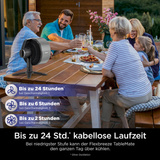 Shark FlexBreeze TableMate, Ventilator grau