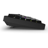 Sharkoon SKILLER SGK55W, Gaming-Tastatur schwarz, DE-Layout, Sharkoon Linear