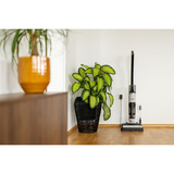 gorenje NEOCLEAN SFC216100G, Nass-/Trockensauger 