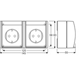Busch-Jaeger Steckdose 20/2 Einbau-Wandgerät 54 weiß, Retail