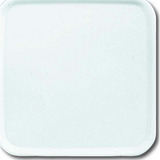 Busch-Jaeger Zentralscheibe aws 2548-214-50 A, Zentralplatte weiß, Retail