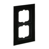 Busch-Jaeger Rahmen 2-fach schwarz, Retail