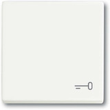 Busch-Jaeger Wippe mit Aufdruck weiß, Retail