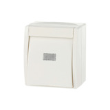 Busch-Jaeger Wipptaster mit Beleuchtung weiß, Retail