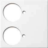 Busch-Jaeger Zentralscheibe, Rahmen weiß, Retail