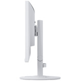 EIZO Flexscan EV2460-WT Generalüberholt, LED-Monitor 60.5 cm (23.8 Zoll), weiß, FullHD, IPS, USB-Hub
