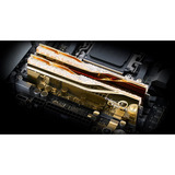 G.Skill DIMM 64 GB DDR5-6000 (2x 32 GB) Dual-Kit, Arbeitsspeicher gold, F5-6000J2636H32GX2-TR5NG, Trident Z5 Royal Neo, AMD EXPO