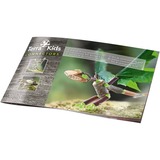 HABA Terra Kids Connectors - Starter-Konstruktions-Set, Konstruktionsspielzeug 