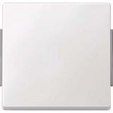 Merten Wippe für Wechselschalter, Kreuzschalter und Taster, einteilig, glänzend, Kunststoff weiß (glänzend), Retail