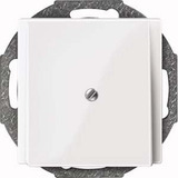 Merten Zentralplatte mit Traggestell und Zugentlastung für Leitungsauslass, glänzend, 1 Modul weiß (glänzend), Retail