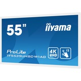 iiyama ProLite TF5539UHSC-W1AG, Public Display weiß, UltraHD/4K, IPS, HDMI