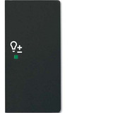 Busch-Jaeger Wippe future linear schwarz, Retail