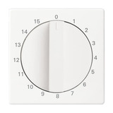 Busch-Jaeger Wippe mit kleiner transparenter Kalotte Kontroll weiß, Retail