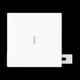 Busch-Jaeger Wippe mit kleiner transparenter Kalotte Kontroll weiß, Retail