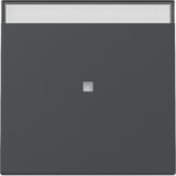 Gira Wippe Kontrollfunktion anthrazit, Retail