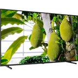 Panasonic TX-65JXW834, LED-Fernseher 164 cm(65 Zoll), schwarz, UltraHD/4K, Triple Tuner, SmartTV