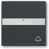 Busch-Jaeger Wippe anthrazit, Retail