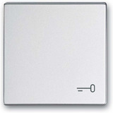 Busch-Jaeger Wippe mit Aufdruck aluminium, Retail