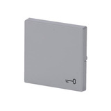 Busch-Jaeger Wippe mit Aufdruck aluminium, Retail