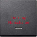 Merten Wippe Kontrollfenster anthrazit, Retail