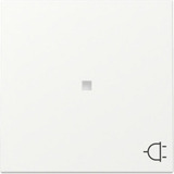 Gira Wippe mit Kontrollfenster und Symbol für schaltbare Steckdose weiß, Retail