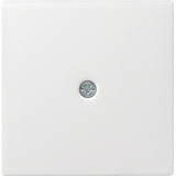 Gira Zentraleinsatz für Schnurableitung, Zentralplatte weiß (glänzend), Retail