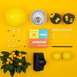 Pegasus Ja nein vielleicht - Bestimmte Dinge sagt man nicht, Partyspiel 