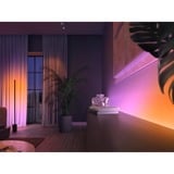 Philips Hue White & Color Ambiance Gradient Lightstrip 2 Meter, LED-Streifen 