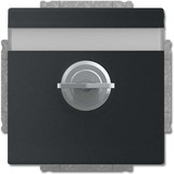 Busch-Jaeger Schutzkontakt-Steckdose Einsatz 20 EUKNBSL-885 schwarz, Retail