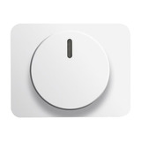 Busch-Jaeger Zentralscheibe stws glänzend für Drehdimmer Typ 6540-24G, Kunststoff, Thermoplast, Abdeckung Retail