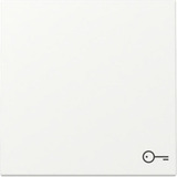 Gira Wippe mit Symbol Tür weiß, Retail