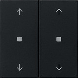 Gira Wippe zweifach mit Pfeilsymbolen und Kontrollfenster schwarz, Retail