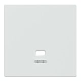 Merten Zentralplatte Zugschalter Ausführung glänzend mit Kontrollfenster, Abdeckung weiß (glänzend), Retail