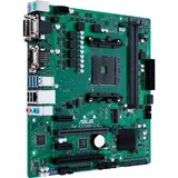 ASUS PRO A520M-C II/CSM, Mainboard grün/schwarz