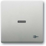 Busch-Jaeger Wippe mit Aufdruck edelstahl, Retail