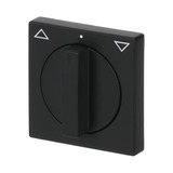 Busch-Jaeger Zentralscheibe Jalousie mit Drehgriff, Abdeckung schwarz, Retail