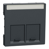 Merten Zentralplatte zweifach anthrazit, Retail